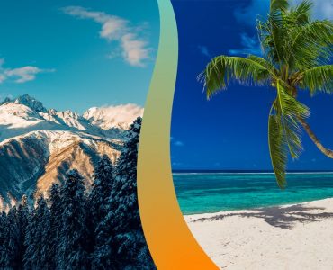 a palm tree on a beach with mountains in the background