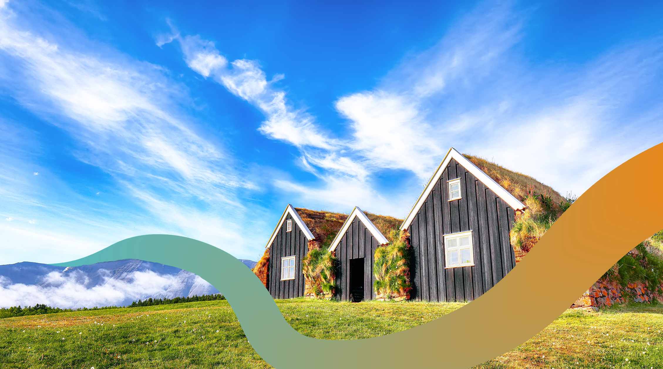 a picture of some houses in the grass